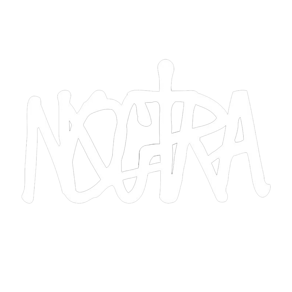 Noctra Logo